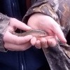Tim Robinson became RoTi, our <b>600th</b> member, when he tempted this gudgeon from near the Red Lion pub, Marsworth, in October 2019.
