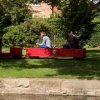How can you concentrate on catching gudgeon with all that distraction on the far bank? Shardlow,  Trent & Mersey Canal, August 2020.