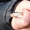 HiAd (Adele Hibbs) joined her son DiNo (Noah Dix) in the Society when she caught several gudgeon to 10.7g at Gnosall on the Shropshire Union Canal in October 2022.